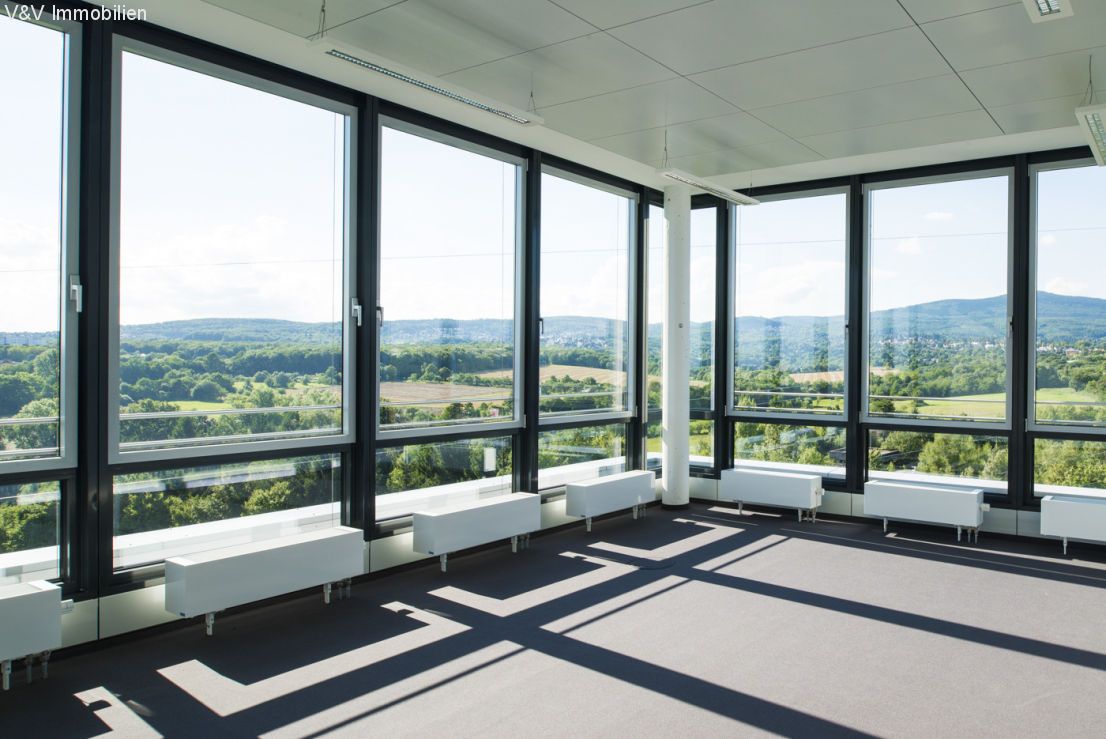 Zwischen Taunus und Skyline