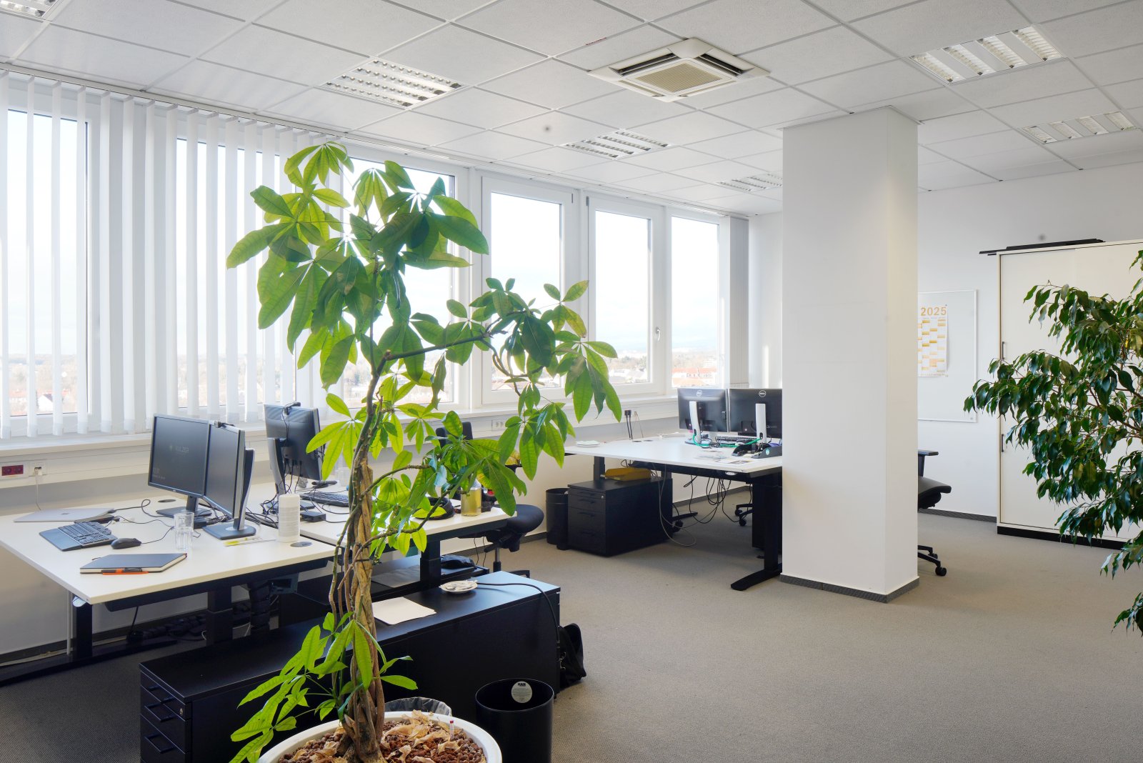 Business Triangle Hanau