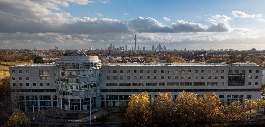 Moderne Büroflächen mit Skyline-Blick