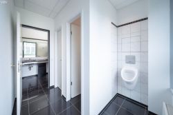 Sanitäranlagen Sanitäranlagen