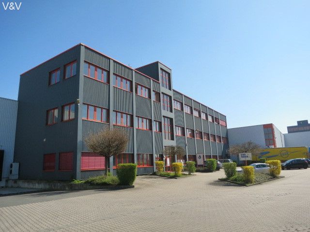 Büroflächen im Business Park Flörsheim 