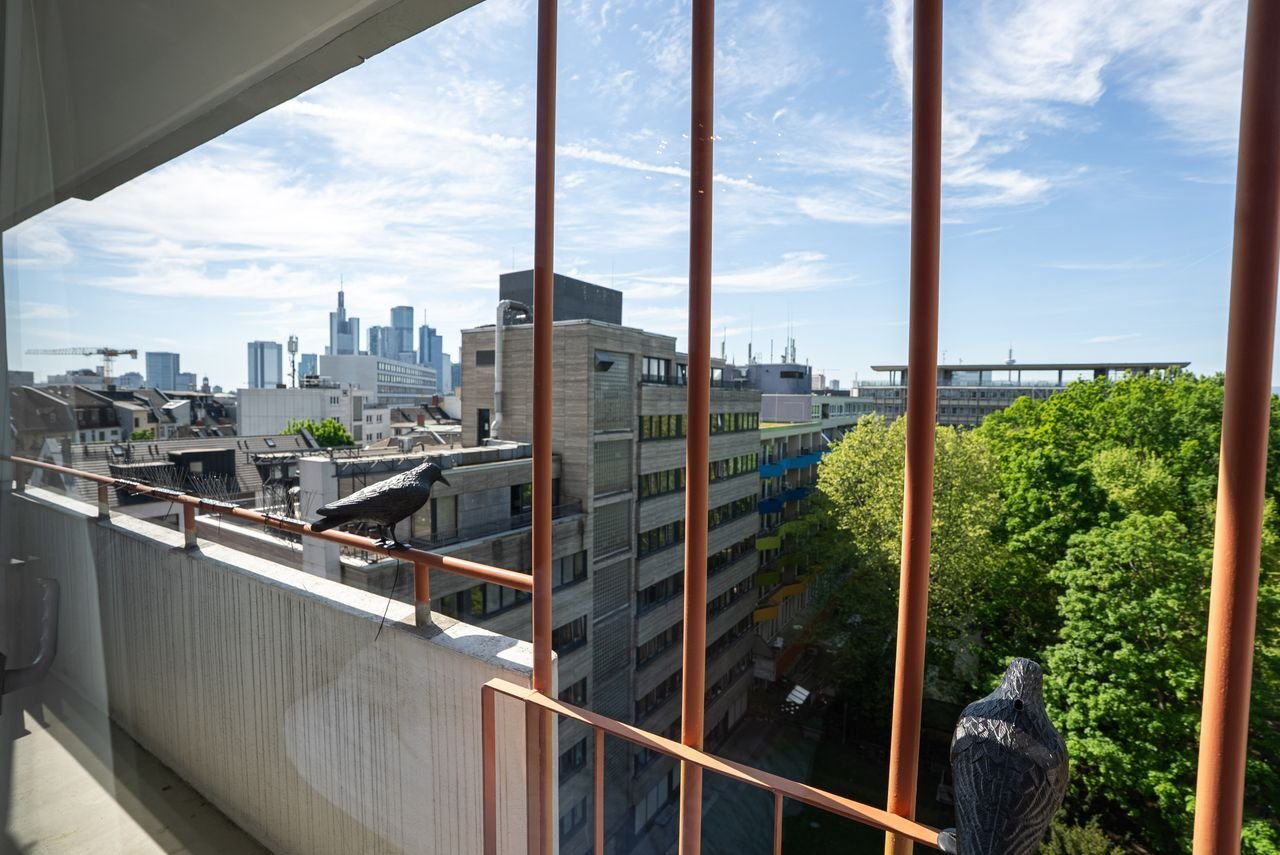 Ausblick