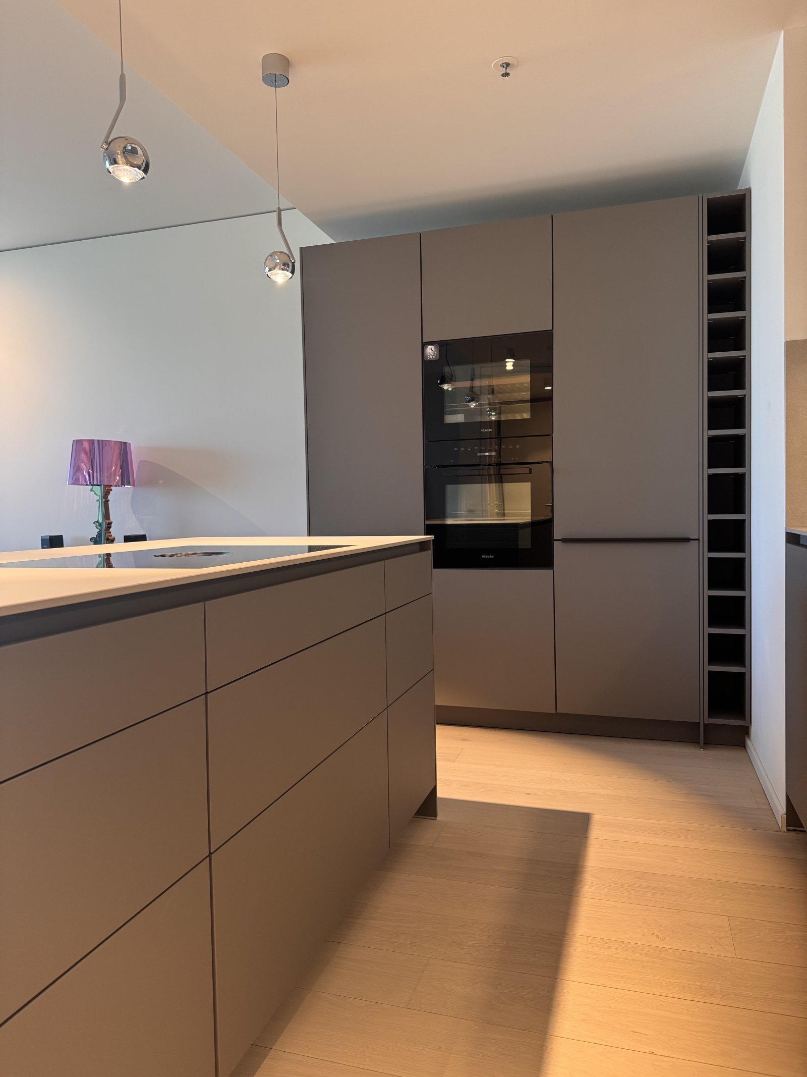 Hochwertige Einbaugeräte und intelligente Stauraum-Integration in moderner Küchenarchitektur