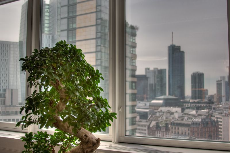 Ausblick Ausblick