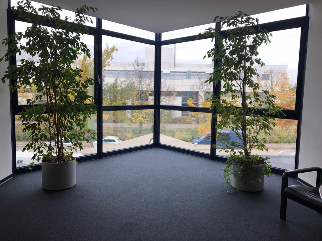 Ausblick Ausblick