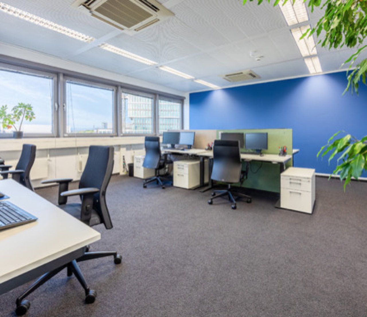 Open Space
