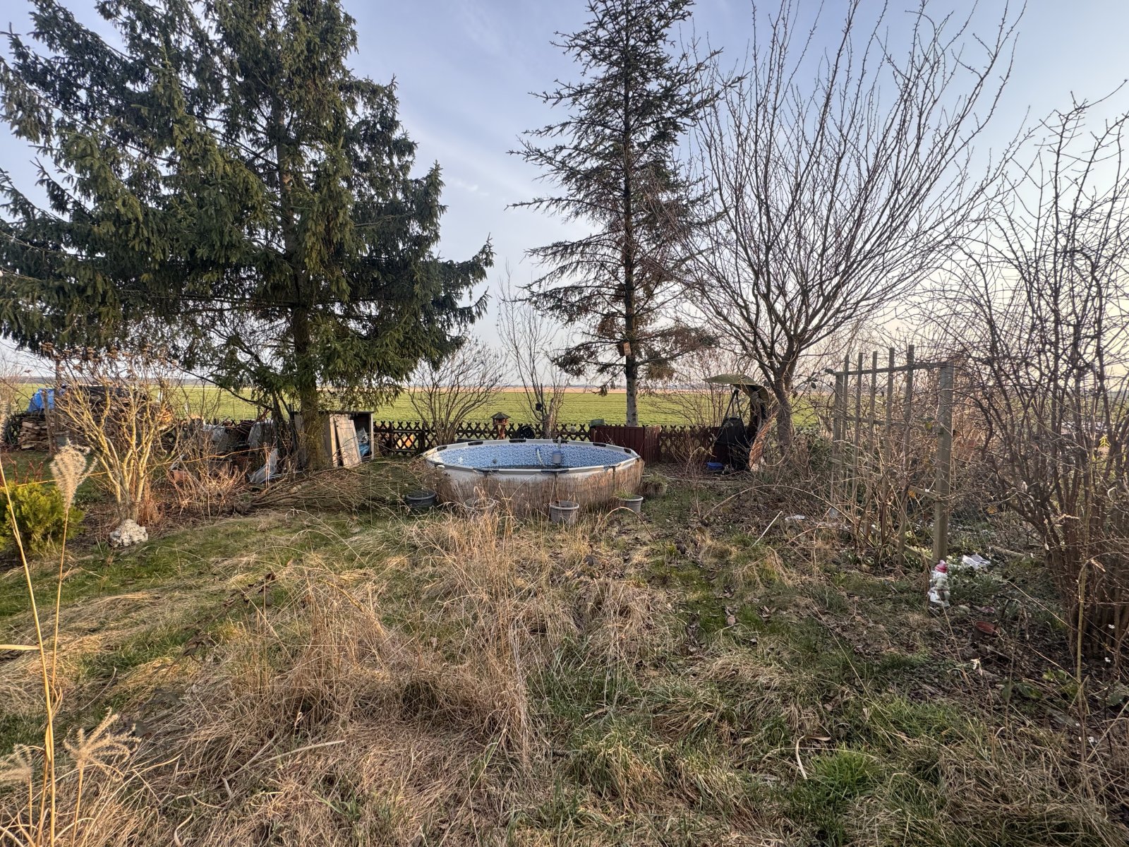 Natural outdoor area with pond and established trees