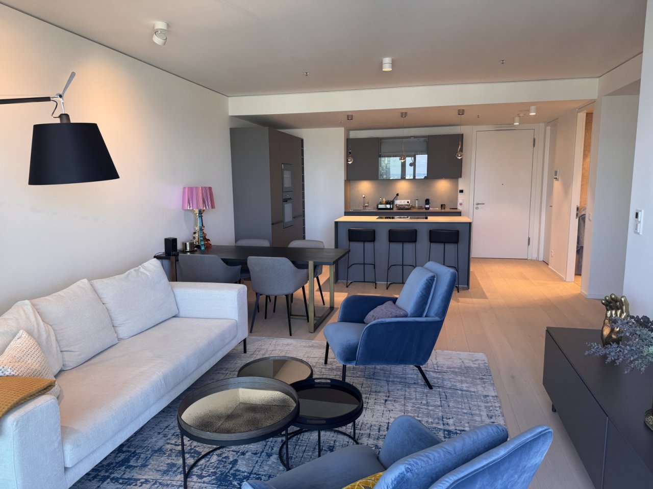 Open living area with seamless kitchen-living integration and central bar counter